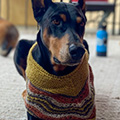 Laura's Hapkerchief