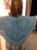 Shevawns Juneberry Triangle