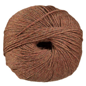 Cascade 220 Superwash - 1920 Pumpkin Spice