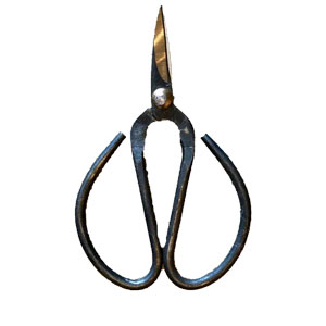 Lacis - Scissors