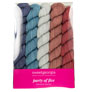 SweetGeorgia Tough Love Sock Party of Five Mini-Skein Set Yarn