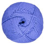 Cascade 220 Superwash Merino - 116 Blue Iris
