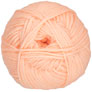 Cascade 220 Superwash Merino - 121 Apricot Ice