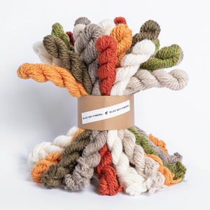 Blue Sky Fibers Woolstok Bundles - Fall Festival