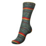 Regia 4-Ply Color Yarn