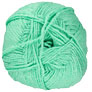 Scheepjes Scrumptious - 340 Mint Whoopie Pie