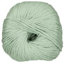 Cascade 220 Superwash - 0350 Seagrass