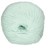 Cascade 220 Superwash - 0351 Pale Jade