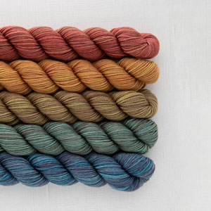 SweetGeorgia Tough Love Sock Party of Five Mini-Skein Set - Blazing Trails