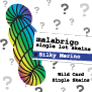 Malabrigo Silky Merino Yarn