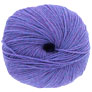Cascade 220 Superwash - 0374 Blueberry Heather