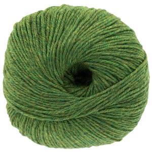 Cascade 220 Superwash - 0376 Irelande