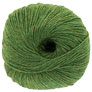Cascade 220 Superwash - 0376 Irelande