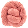 Dream In Color Smooshy - Fortune Teller