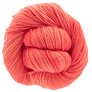 Dream In Color Classy - Melon Bomb