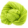 Dream In Color Savvy - Prickly Pear