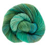 Dream In Color Butterfly Yarn - Shuyler Lake