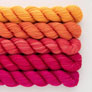 SweetGeorgia Tough Love Sock Party of Five Mini-Skein Set - Fruit Salad