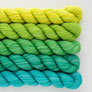 SweetGeorgia Tough Love Sock Party of Five Mini-Skein Set - Picnic in the Park