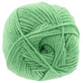 Hayfield Bonus DK - 825 Grass