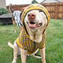 Berroco Pooch Pullover Kit