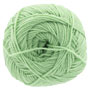 Sandnes Garn  Sunday - 8733 Spring Green