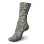 Regia 4-Ply Color Yarn - 1243 - Asteroid