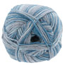 Regia 4-Ply Color Yarn - 9019 - Hammerfest