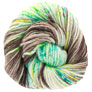 Madelinetosh A.S.A.P Thick and Thin - Flick of the Switch