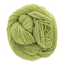 Dream In Color Field Collection: Suzette - Sprout