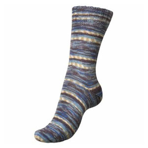 Regia 4-Ply Color - 3778 - Frozen Earth (Winter Hues)