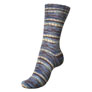 Regia 4-Ply Color Yarn - 3778 - Frozen Earth (Winter Hues)