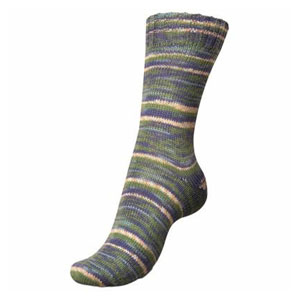 Regia 4-Ply Color - 3781 - Winter Forest (Winter Hues)