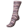 Regia 4-Ply Color Yarn - 3782 - Winter Lake (Winter Hues)