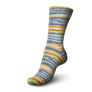 Regia 6-Ply Color Yarn