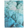 Scheepjes Color Cards  - Chunky Monkey