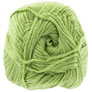 Cascade Anthem DK Yarn - 80 Fern - 10-Pack