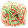 Cascade Cherub DK Multi Yarn - 522 Spring - 10-Pack