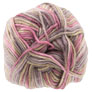 Cascade Cherub DK Multi Yarn - 524 Dusk - 10-Pack