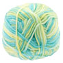 Cascade Cherub DK Multi Yarn - 526 Tropical - 10-Pack