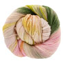 Dream In Color Lamb Yarn - Guava Nice Day