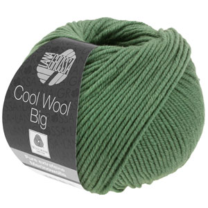 Lana Grossa Cool Wool Big - 0967 Reseda Green