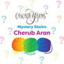 Cascade Cherub Aran One of a Kind Yarn