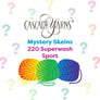 Cascade 220 Superwash Sport One of a Kind Yarn - Mystery Skein