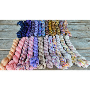 Koigu 25 Day KPPPM Pencil Pack Yarn