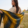 Malabrigo Wells Shawl Kit