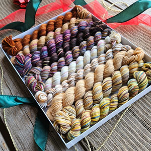 Koigu Pencil Box - Chestnuts Roasting