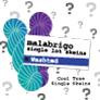 Malabrigo Washted Single Lot Skeins Kits - Cool