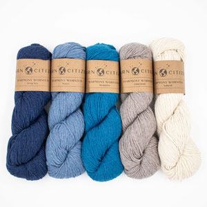 Yarn Citizen Harmony Hue Bundles - Cool