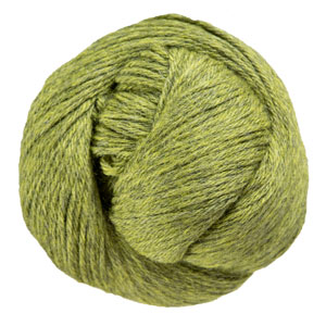  Cascade 220 - 2452 Turtle